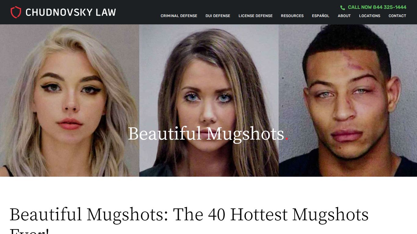 The 40 Hottest Mugshots Ever (Beautiful, sexy mugshots) - Chudnovsky Law
